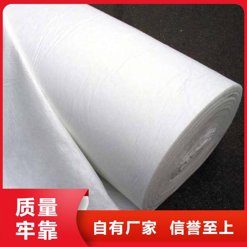 复合土工膜玻纤土工格栅严选好货