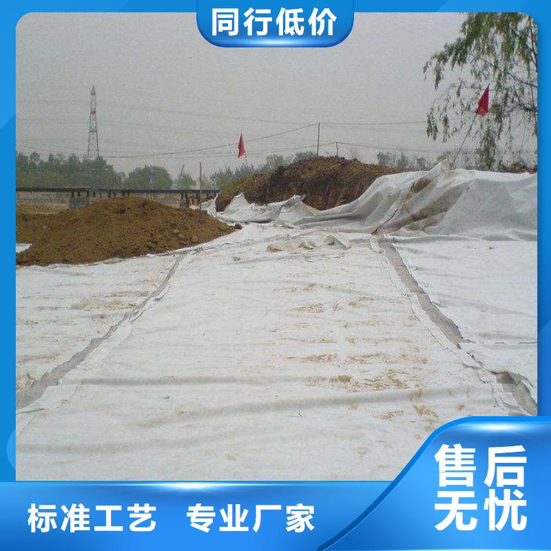 复合土工膜三维植被网根据要求定制