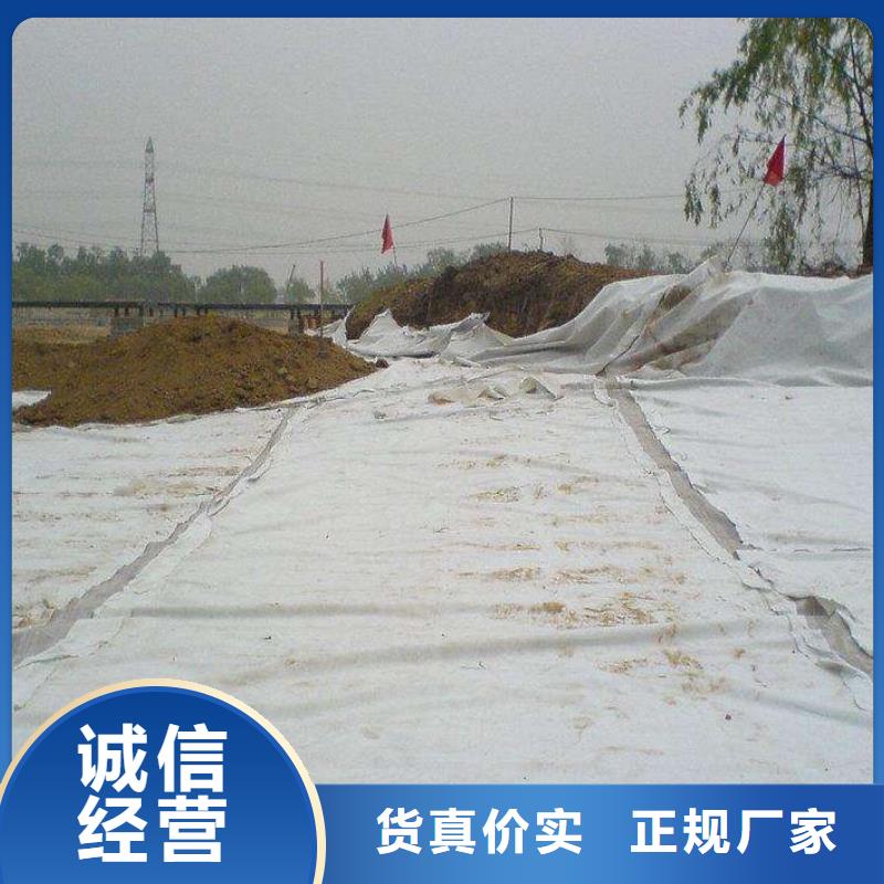 复合土工膜三维复合排水网让客户买的放心