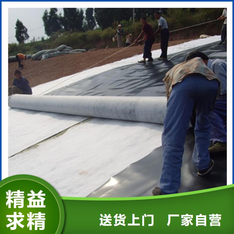 复合土工膜-PP焊接土工格栅严格把控质量