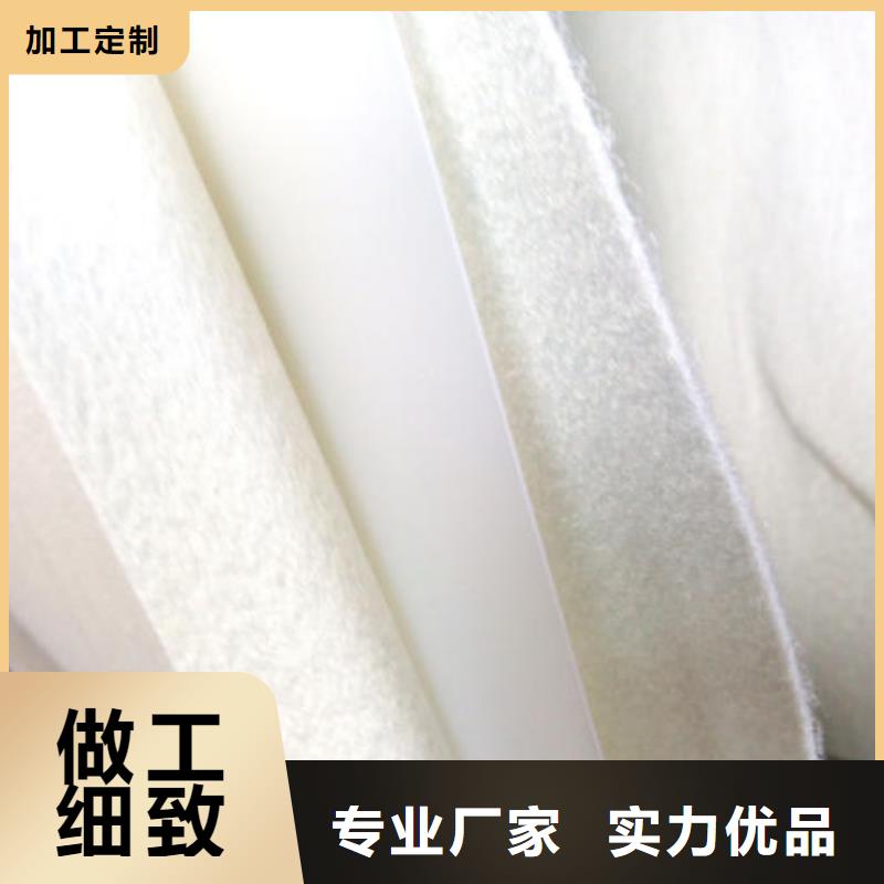 复合土工膜毛细排水板库存丰富