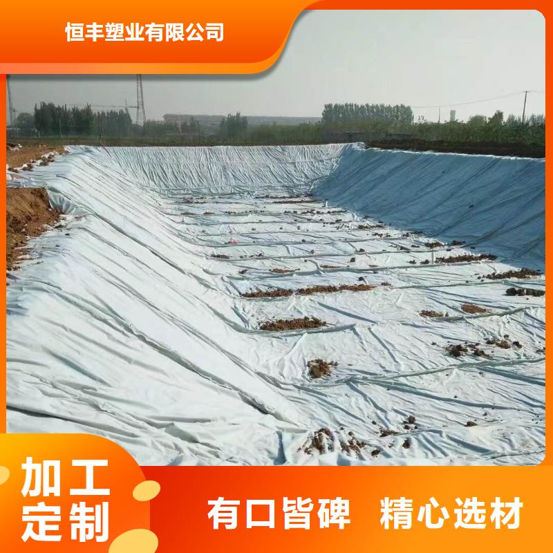 复合土工膜【三维土工网垫】支持定制批发