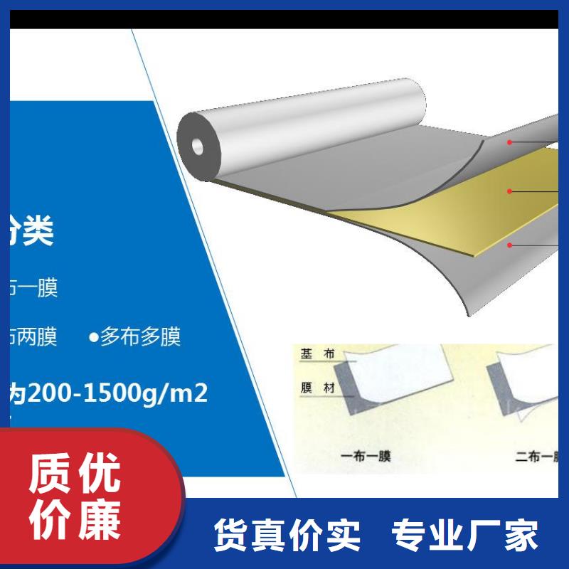 复合土工膜,单向塑料土工格栅经验丰富品质可靠