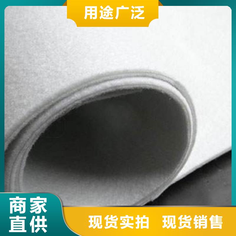 复合土工膜塑料土工滤网现货销售