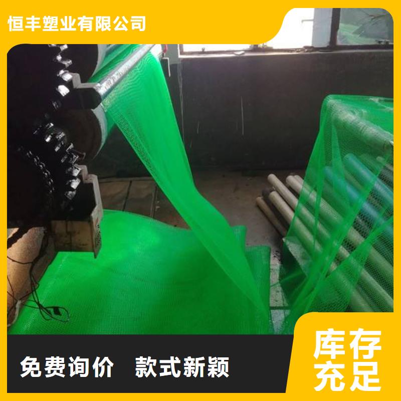 三维植被网双向拉伸塑料格栅选择大厂家省事省心