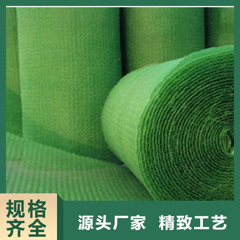 【三维植被网】双向拉伸塑料格栅用途广泛