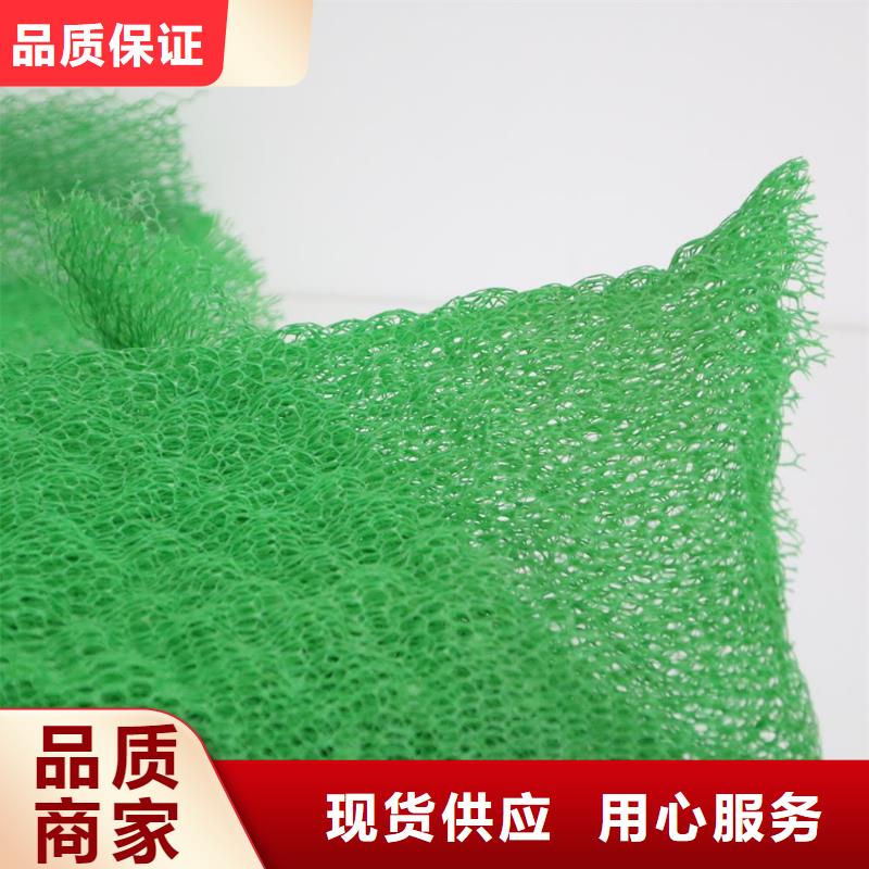 三维植被网【土工席垫】好货采购