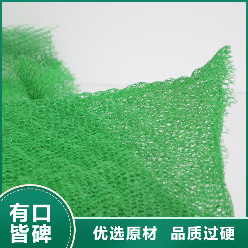 三维植被网防渗复合土工膜源头采购