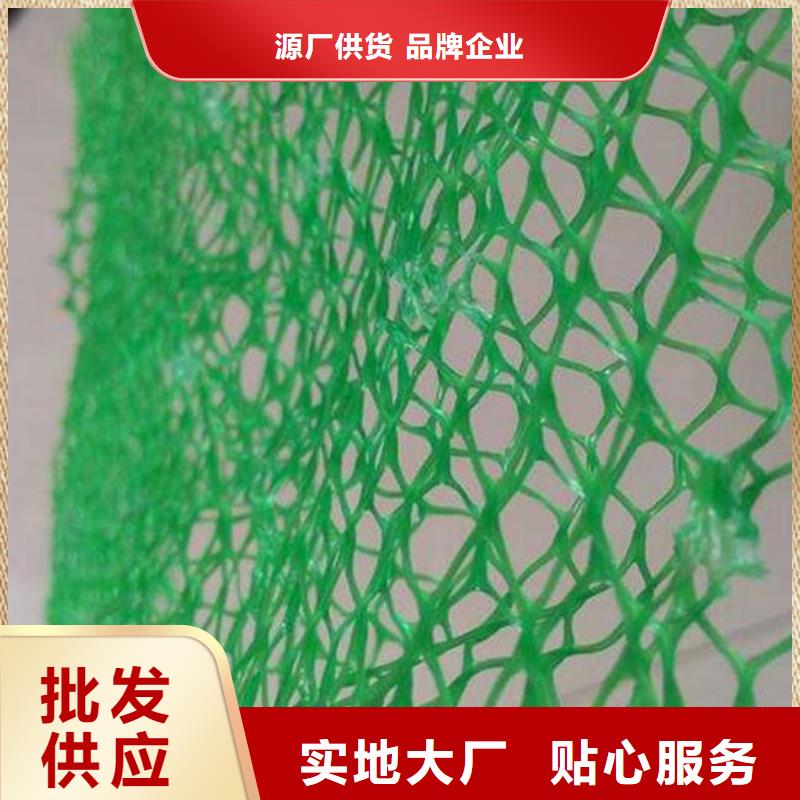三维植被网【复合土工膜】售后无忧