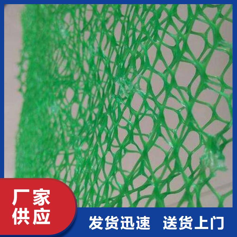 三维植被网长丝土工布种类多质量好