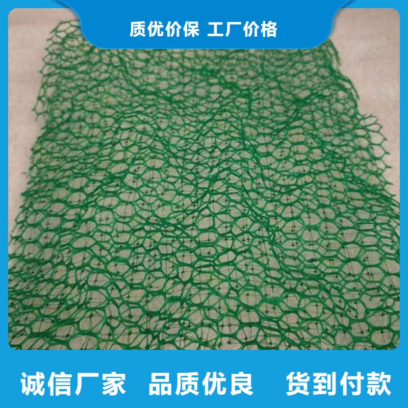 三维植被网【土工席垫】好货采购