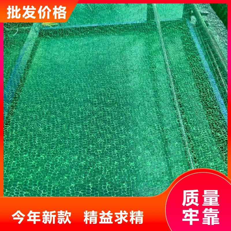 三维植被网,短丝土工布严选材质