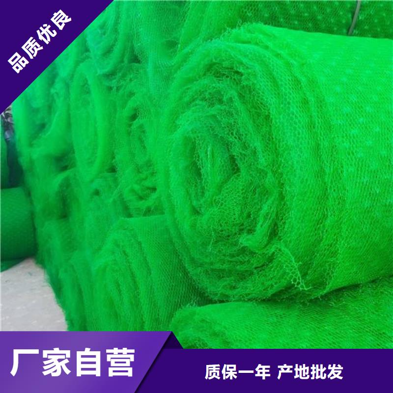 三维植被网无纺布48小时发货