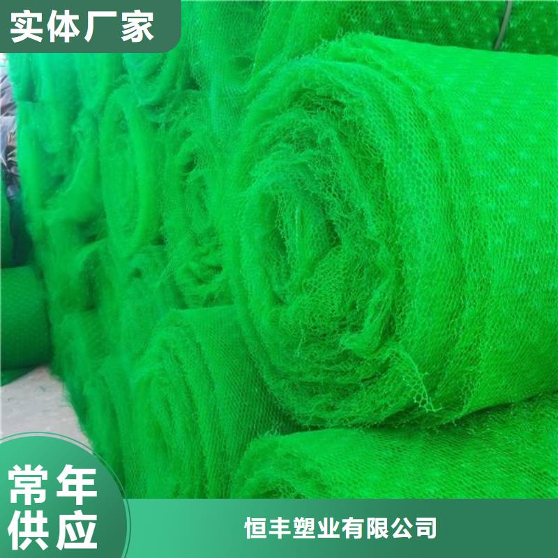 三维植被网防尘布应用广泛