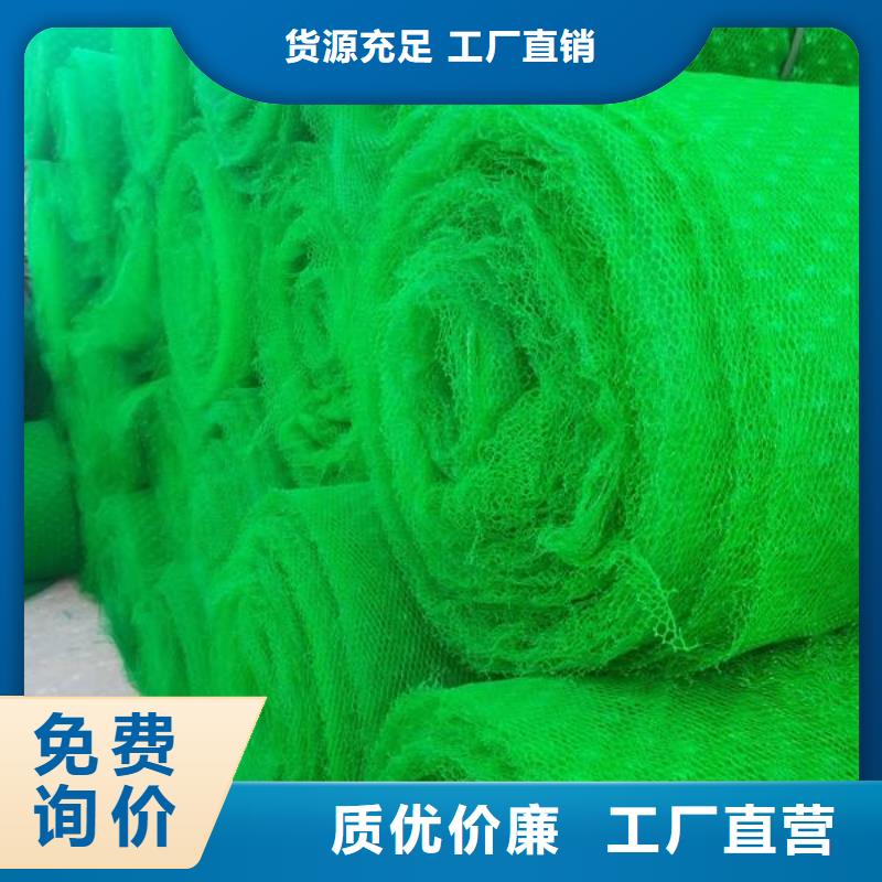 三维植被网PVC防水卷材客户好评