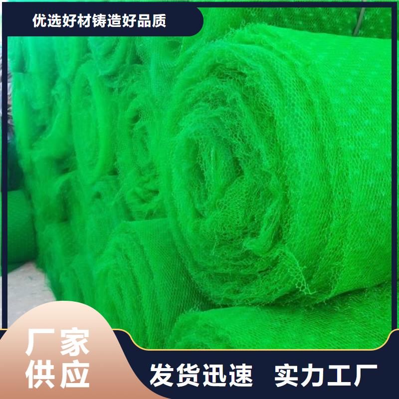 三维植被网复合土工膜工厂直营