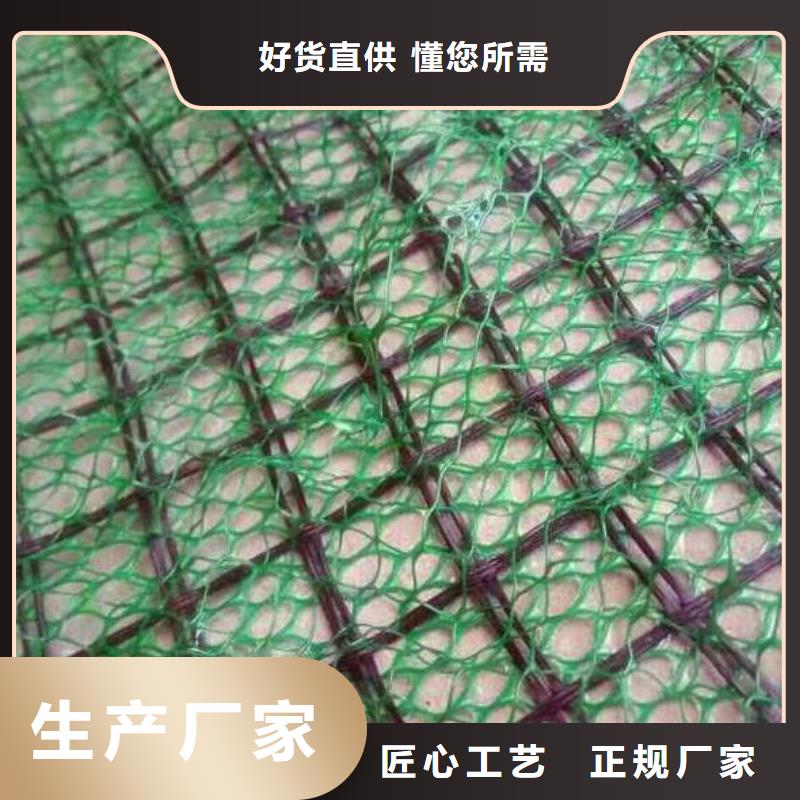 三维植被网_聚乙烯土工膜实拍展现