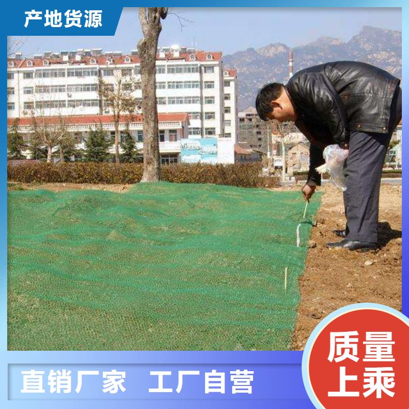 三维植被网【复合土工膜】售后无忧
