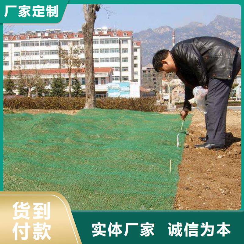 三维植被网毛细排水板不断创新