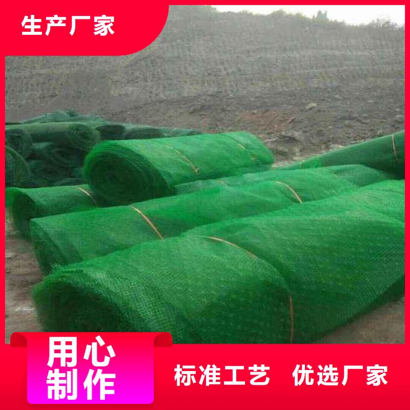 三维植被网【土工席垫】好货采购