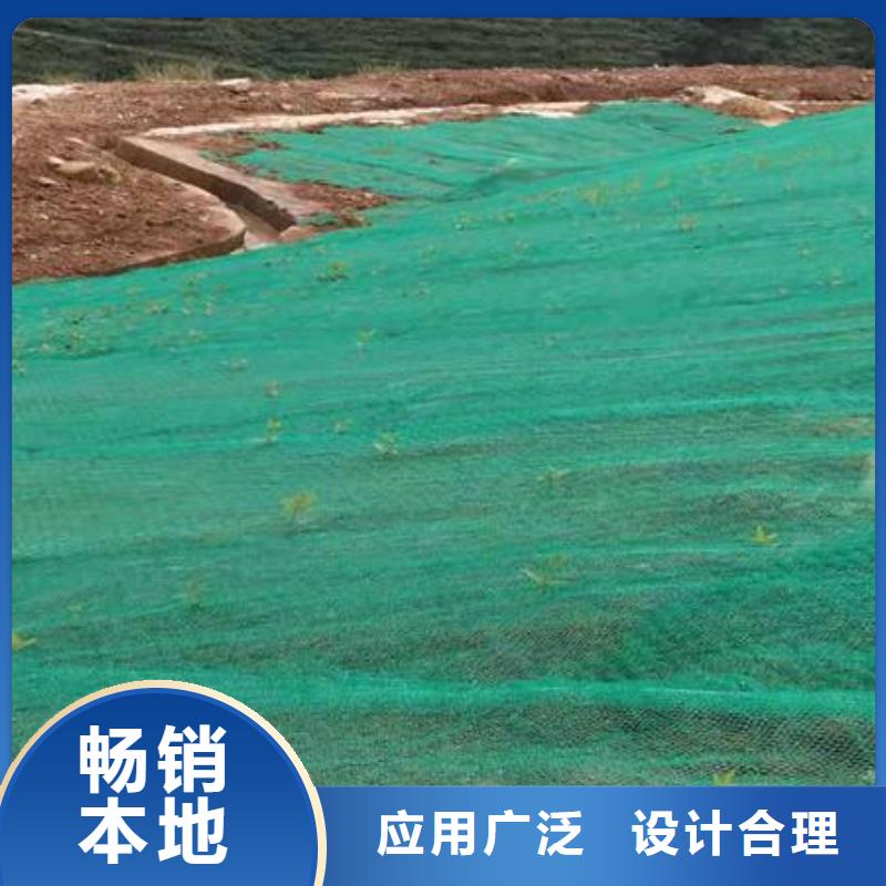 三维植被网,短丝土工布严选材质
