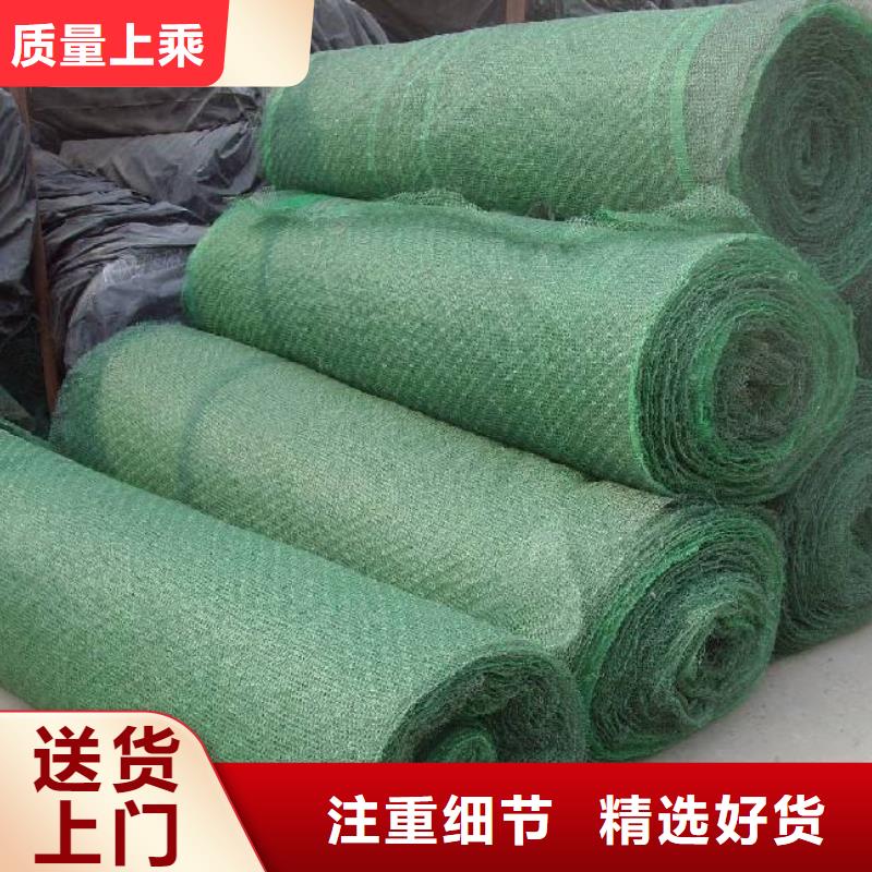 三维植被网防渗复合土工膜源头采购