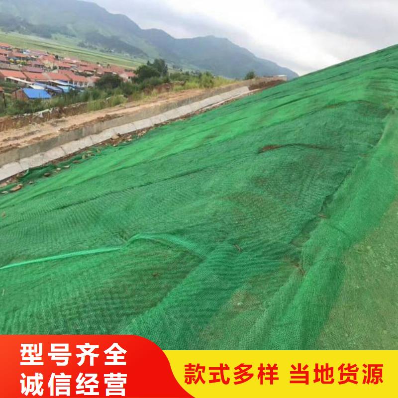 【三维植被网复合土工膜闪电发货】