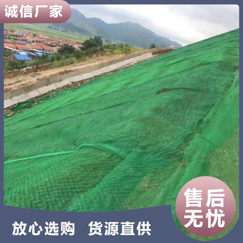 三维植被网【土工席垫】好货采购