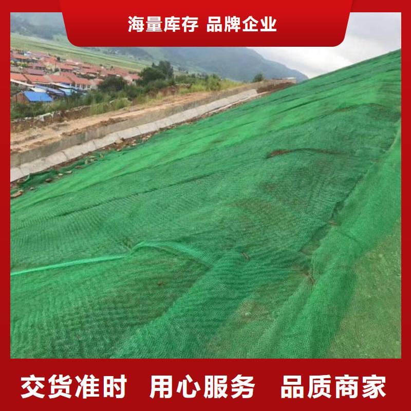 【三维植被网软式透水管品牌大厂家】