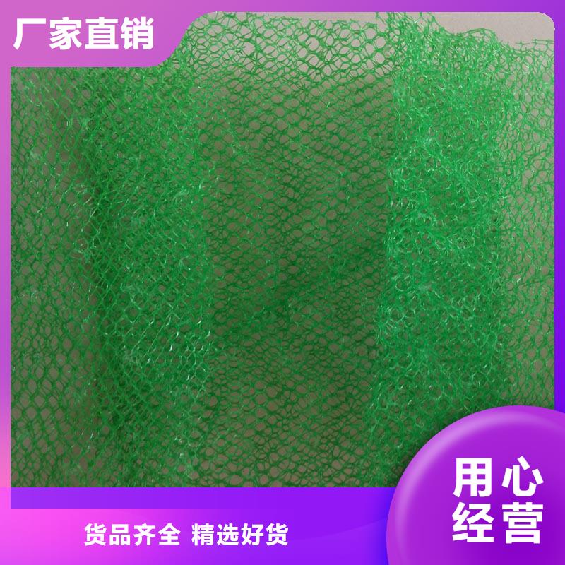 三维植被网PP焊接土工格栅甄选好物
