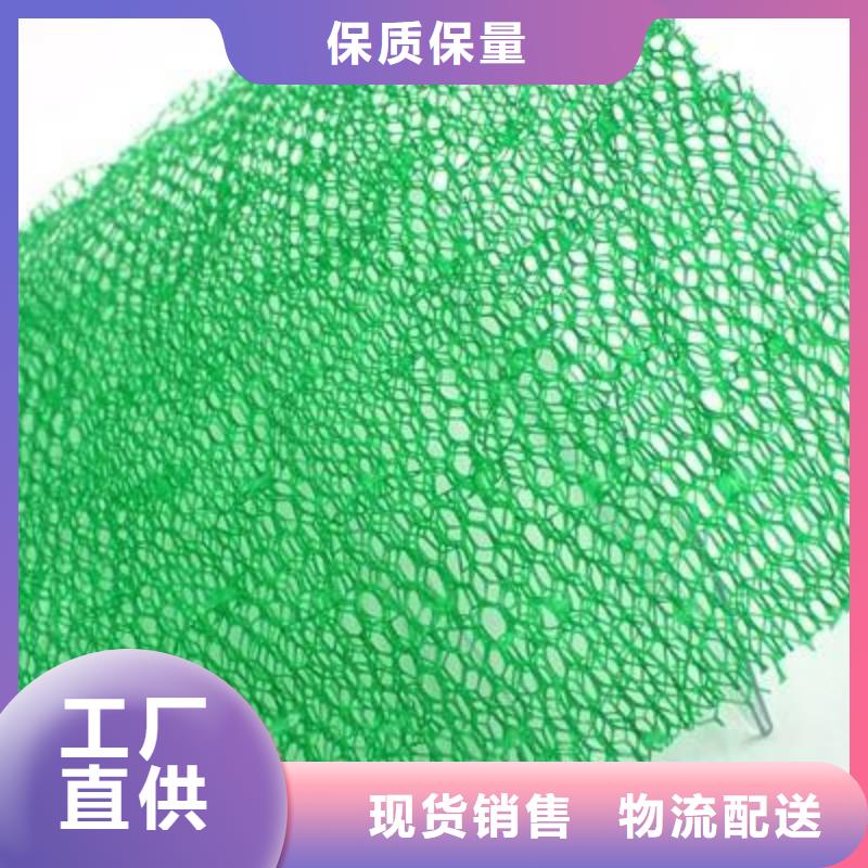 【三维植被网】HDPE土工膜N年大品牌