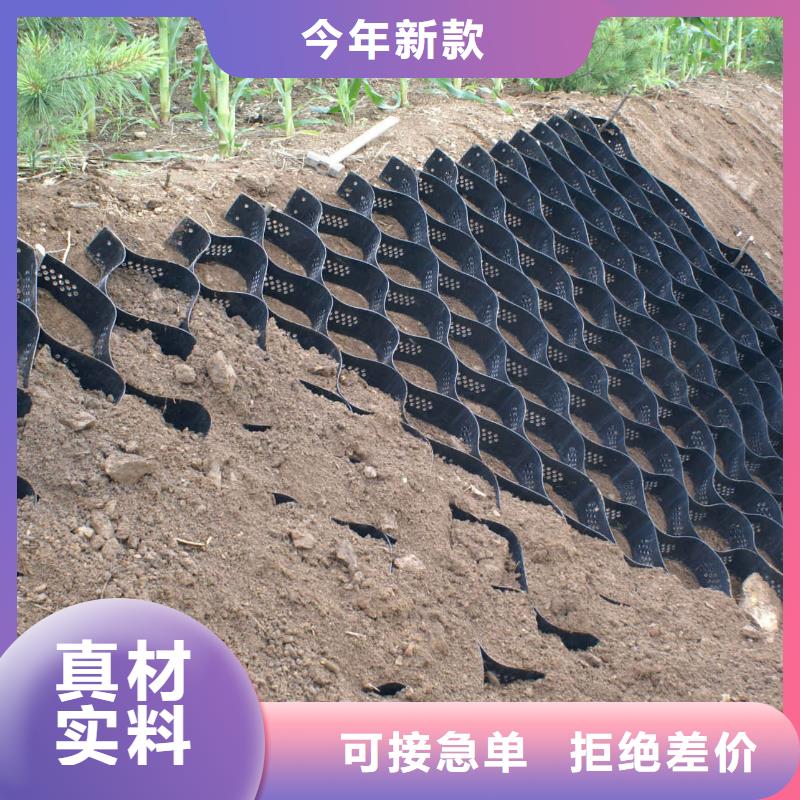 土工格室_涤纶土工格栅量少也做