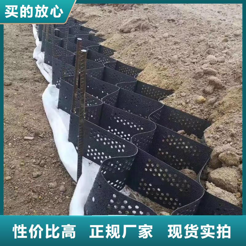 土工格室_涤纶土工格栅量少也做