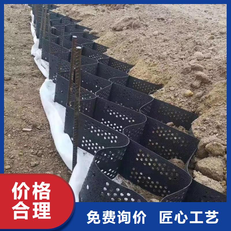 【土工格室_加筋布细节之处更加用心】