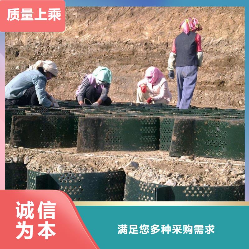 土工格室软式透水管把实惠留给您