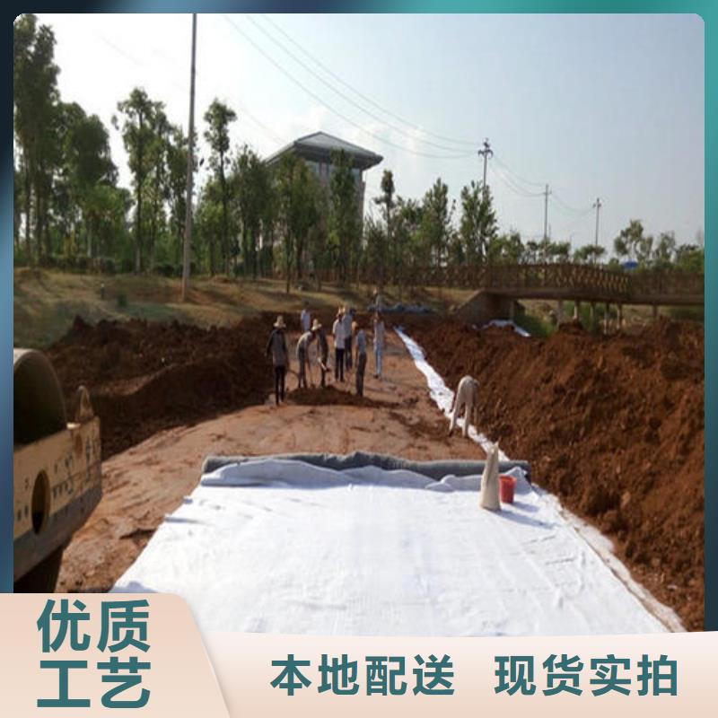 【膨润土防水毯】-城建土工膜厂家自营