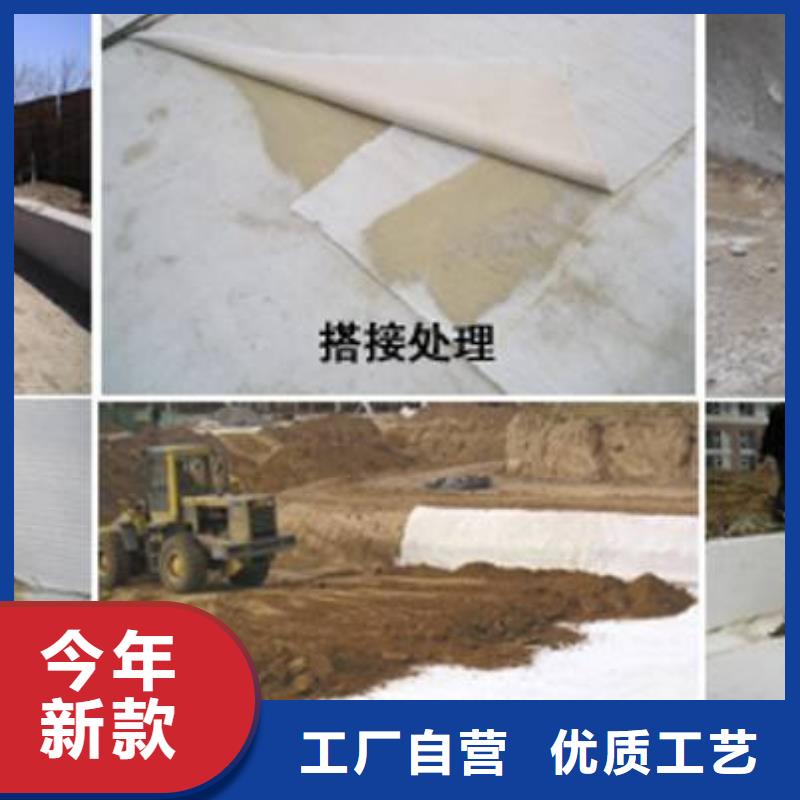 【膨润土防水毯】防渗土工膜支持定制批发