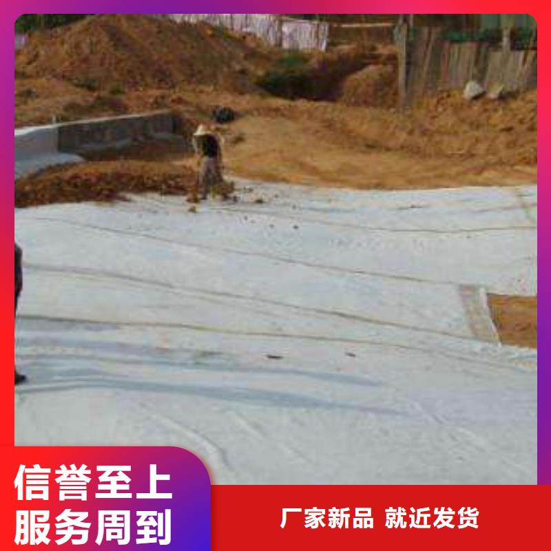 膨润土防水毯,防渗复合土工膜出厂严格质检