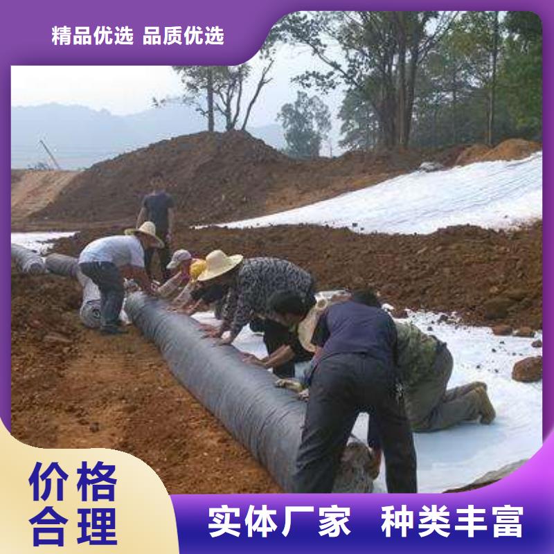 膨润土防水毯土工滤网专业供货品质管控