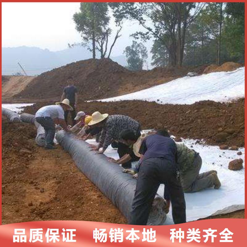 膨润土防水毯,双向塑料土工格栅全品类现货