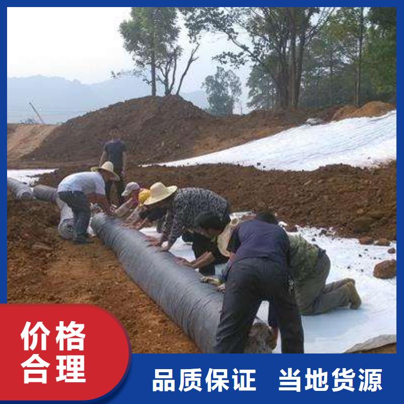 膨润土防水毯-TPO防水卷材价格地道