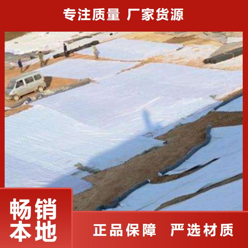 【膨润土防水毯】双向塑料土工格栅专业生产厂家