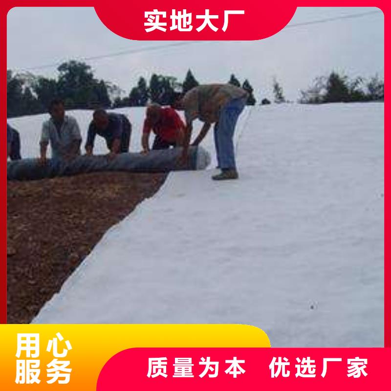 膨润土防水毯土工滤网专业供货品质管控