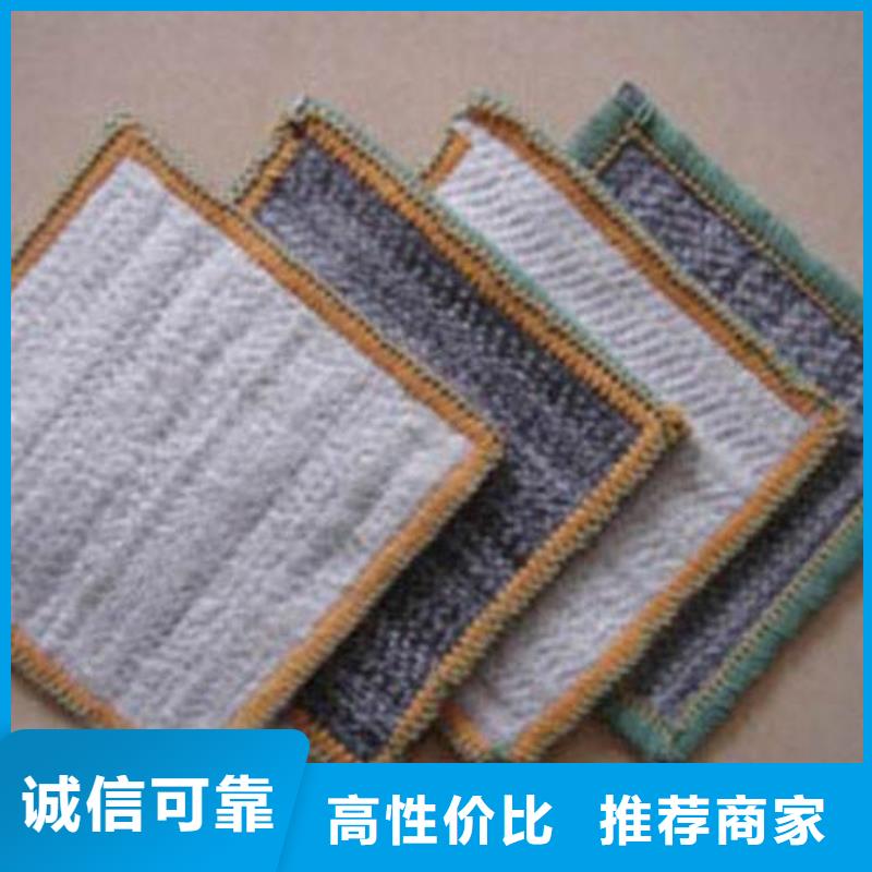 膨润土防水毯三维土工网垫专业生产团队