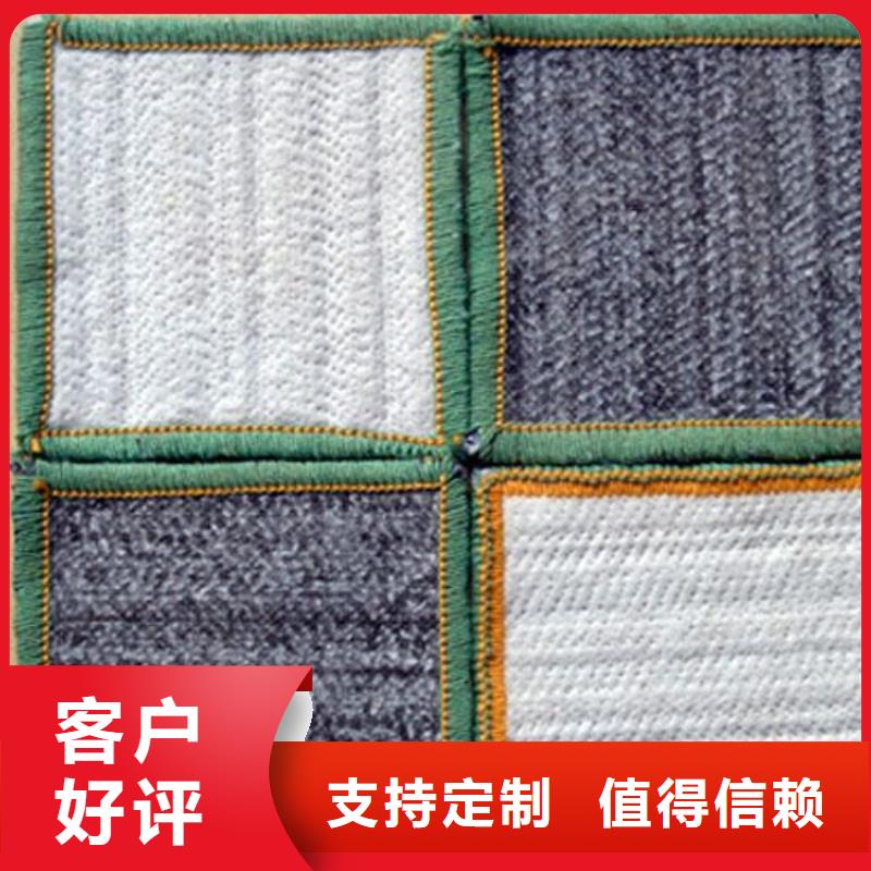 膨润土防水毯防渗土工膜品质保障价格合理