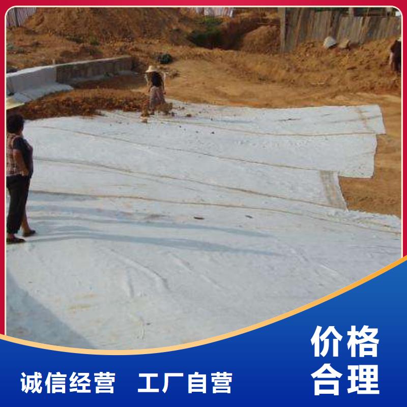 【膨润土防水毯三维复合排水网源厂直销】