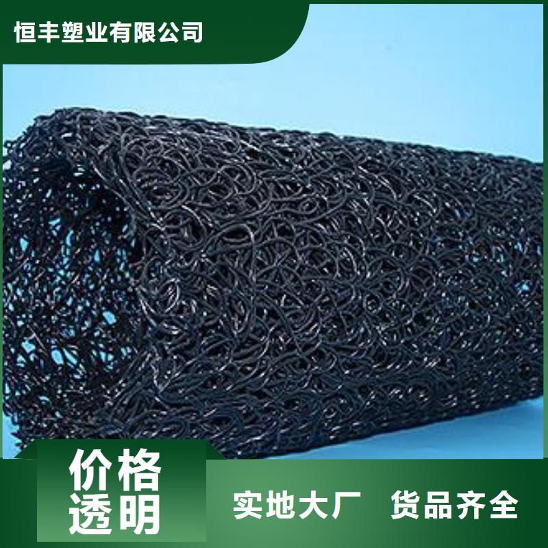 【塑料盲沟】_三维复合排水网出货快