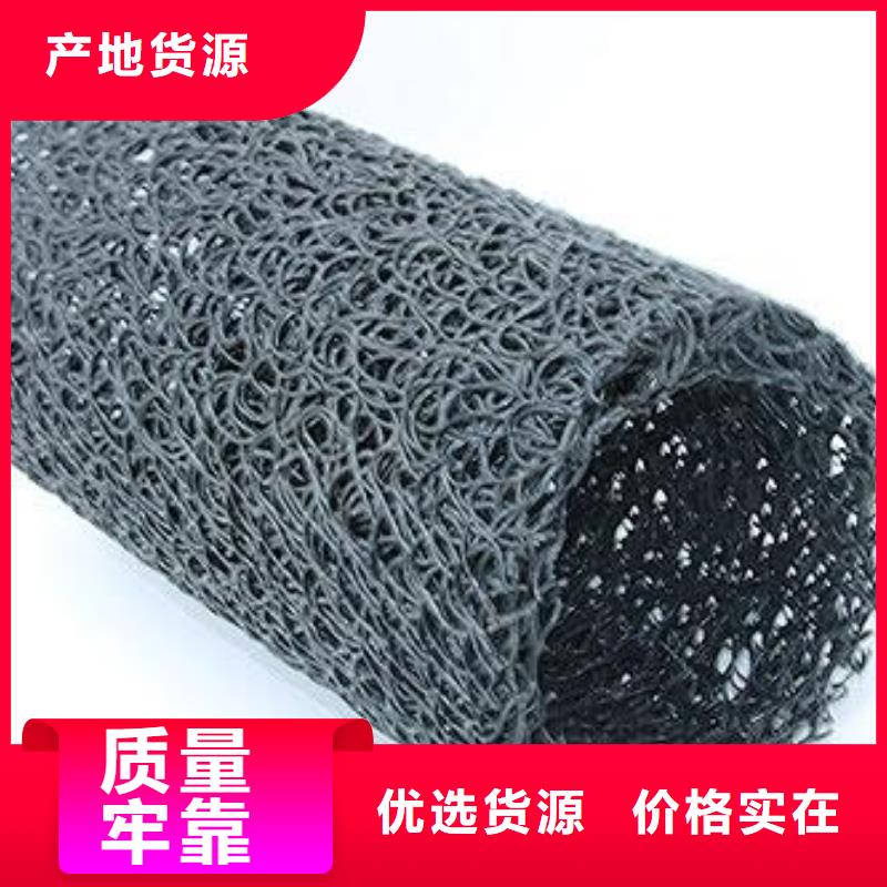 塑料盲沟双向拉伸塑料格栅快速生产