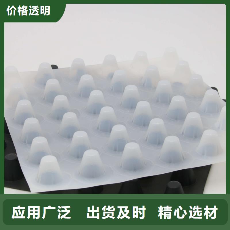 排水板PP焊接土工格栅海量现货直销