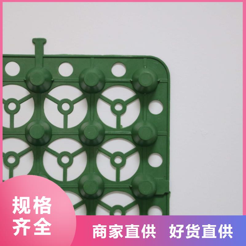 排水板_三维植被网来图加工定制